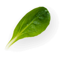 Kale Image